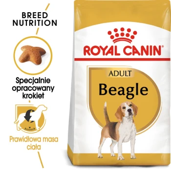 Torba z karmą dla psów Royal Canin Adult Beagle z żółtą etykietą, z ilustracją beagle'a i tekstem o odżywianiu rasy.