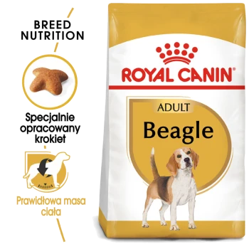Torba z karmą dla psów Royal Canin Adult Beagle z żółtą etykietą, z ilustracją beagle'a i tekstem o odżywianiu rasy.