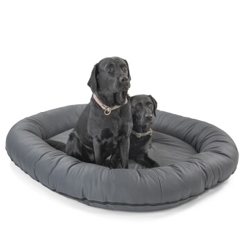 orthopädisches Hundebett Bolton grau XXL