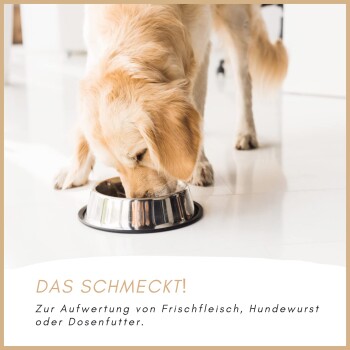Golden Retriever frisst aus einer Metallschüssel auf weißem Boden mit deutschem Text über frisches Fleisch und Hundefutter.