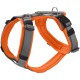Geschirr Maldon Up orange L
