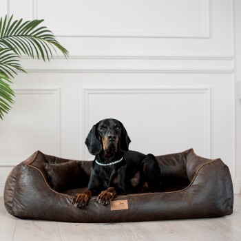 Ein schwarzer Dobermann, der auf einem stilvollen braunen Haustierbett mit lederähnlicher Textur ruht, mit einem kleinen Markenschild mit der Aufschrift "tierlando."