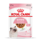 Royal Canin rosa Beutel 85 g Kätzchen‑Feuchtfutter ‚KITTEN‘ bis 12 Monate, Schüssel mit Stücken in Soße, Kätzchenbild, ohne Konservierungsstoffe