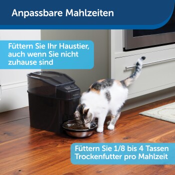 Eine dreifarbige Katze frisst aus einer Metallschüssel auf einem Holzboden neben einem schwarzen Futterspender mit Fütterungsanweisungen.