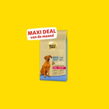 Select Gold Maxi Adult Sensitive hondenvoer zak voor honden boven 25 kg met paard en tapioca, label "Maxi Deal van de maand".