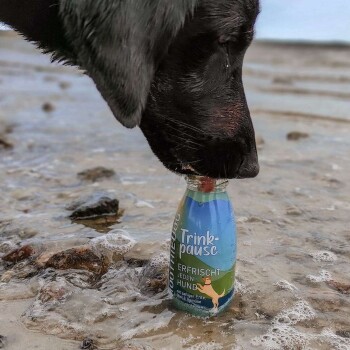 Ein schwarzer Hund mit einer nassen Schnauze trinkt aus einer blauen Flasche, die 'Trinkpause' beschriftet ist, mit dem Text 'ERFRISCHT JEDEN HUND' an einem sandigen Strand.