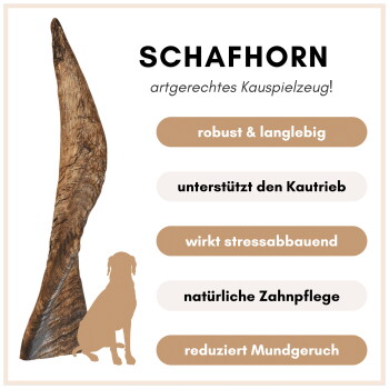Ein großes Schafhorn hebt Vorteile hervor: "robust," "unterstützt das Kauen," "reduziert Stress," "natürliche Zahnpflege," und "schlechter Atem," mit einer Hundesilhouette darunter.