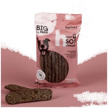 Pinkfarbene Tüte Hanfred Hanf-Hundeleckerlis mit der Aufschrift „BIG PACK“, Hundebild und sichtbaren Sticks innen und außen an der Verpackung.