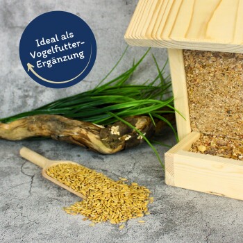 Holz-Vogelfutterspender mit einem Haufen Vogelfutter in einer Schaufel, umgeben von grünem Gras und einem Holzast; der Text lautet "Ideal als Vogelfutter-Ergänzung."