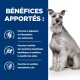 Image de chien avec texte : promeut la digestion, soutient les bactéries intestinales, et renforce le système immunitaire.