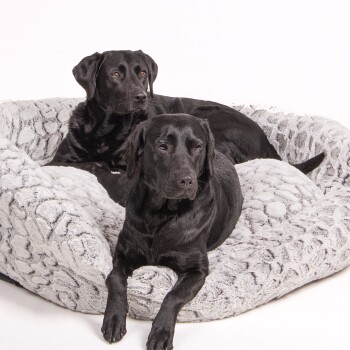 Zwei schwarze Labrador Retriever, die auf einem plüschigen, grauen Haustierbett mit strukturierter Oberfläche ruhen.