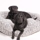 Zwei schwarze Labrador Retriever, die auf einem plüschigen, grauen Haustierbett mit strukturierter Oberfläche ruhen.
