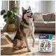 Husky sitzt im Wohnzimmer neben einer Tüte mit der Aufschrift 'PREMIERE. I ♥ my dog' und 'Dental Snack Medium Wraps'.