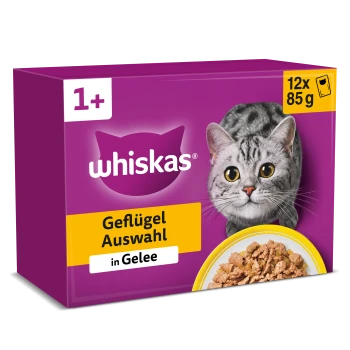 Lila Whiskas Katzenfutter-Box mit Bild einer grauen Katze, einer Schale Nassfutter und Text 'Geflügel-Auswahl in Gelee', '1+', '12x 85 g'.