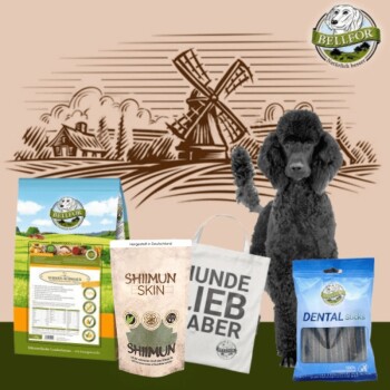 Groß Pudel Futter Set