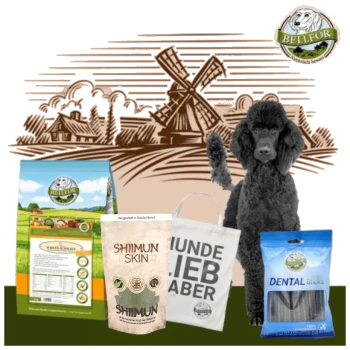 Ein schwarzer Pudel steht neben Tierprodukten: BELLEFOR Hundefutter, SHIIMUN Ergänzung, eine Tragetasche und Zahnsticks, mit einer ländlichen Kulisse.