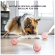 Ein verspielter Hund erkundet drei pinke interaktive Bälle auf einem Holzboden, mit Text darüber, wie man Hindernisse vermeidet.