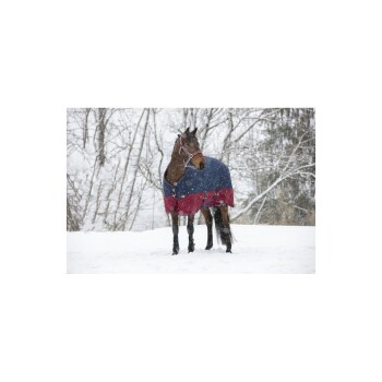 Regendecke 50 g 1200 Denier 1,35 m