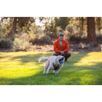 Ein verspielter Hund mit einem blauen Ball läuft über einen sonnigen grünen Rasen, während eine Person in einer roten Jacke im Hintergrund zuschaut.