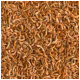 Snacks de crevettes séchées pour animaux, présentant une vue rapprochée de nombreux petits morceaux de crevettes enroulées dans une teinte dorée-brune.