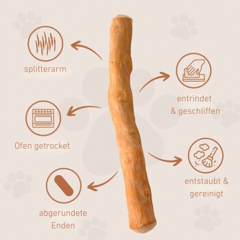 Lächelnder Hund mit einem weißen und braunen Fell, der gesunde Zähne zeigt. Der Text lautet "Fördert die Zahnpflege!" mit Symbolen für zahnmedizinische Vorteile.