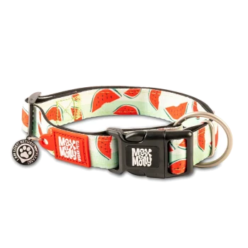 Hundehalsband mit Wassermelonenmuster, schwarzer Schnalle, Metallring und Anhängern mit der Aufschrift „Max & Molly Urban Pets“ und „Ich bin verloren! Bitte bring mich zurück!“