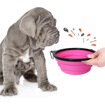 Ein grauer Welpe sitzt neben einer zusammenklappbaren rosa Haustierschüssel, die von einer Hand gehalten wird, mit bunten Spritzern, die darum herum illustriert sind.