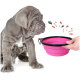 Ein grauer Welpe sitzt neben einer zusammenklappbaren rosa Haustierschüssel, die von einer Hand gehalten wird, mit bunten Spritzern, die darum herum illustriert sind.