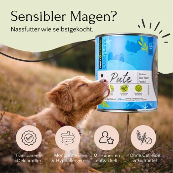 Ein Golden Retriever Welpe schnüffelt an einer Dose Haustierfutter mit der Aufschrift "Pute" mit Quinoa, Rote Beete und Fenchel, fördert empfindliche Mägen.