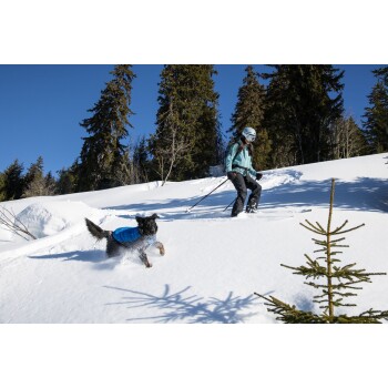 Eine Person, die in einer schneebedeckten Landschaft mit hohen immergrünen Bäumen Ski fährt, begleitet von einem schwarzen Hund, der eine blaue Jacke trägt und verspielt durch den Schnee läuft.