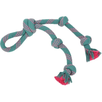 Türkis- und rosa Hundeseilspielzeug mit Knoten und Quasten, entworfen für Kau- und Zerrspiele.