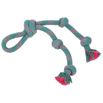 Türkis- und rosa Hundeseilspielzeug mit Knoten und Quasten, entworfen für Kau- und Zerrspiele.