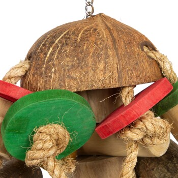 Nahaufnahme eines bunten Vogelspeils mit einer Kokosnussschale oben, grünen und roten Holzringen und Naturfaserseilen zum Kauen.