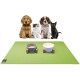 Eine Gruppe von vier Haustieren, darunter zwei Hunde, ein Kätzchen und eine schwarze Katze, sitzt auf einer grünen Matte mit zwei Fressnäpfen vor ihnen.