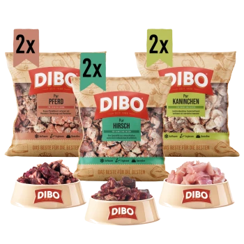 Vier Tüten DIBO Tiernahrung (Pferdefleisch, Kaninchen, Hirsch) und drei Schalen mit verschiedenen Tierfutterarten sind ausgestellt.