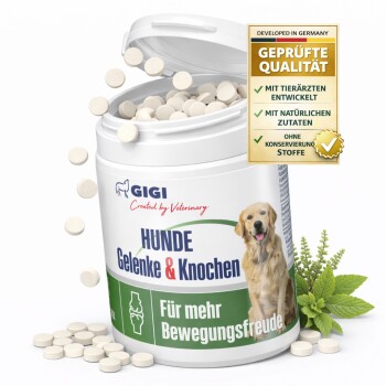 Behälter mit GIGI-Hundegelenktabletten mit einem Golden Retriever-Etikett, das "HUNDE Gelenke & Knochen" und "Für mehr Bewegungsfreude" liest.