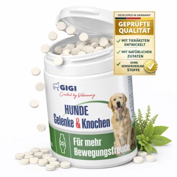 Behälter mit GIGI-Hundegelenktabletten mit einem Golden Retriever-Etikett, das "HUNDE Gelenke & Knochen" und "Für mehr Bewegungsfreude" liest.