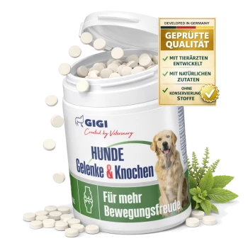 Behälter mit GIGI-Hundegelenktabletten mit einem Golden Retriever-Etikett, das "HUNDE Gelenke & Knochen" und "Für mehr Bewegungsfreude" liest.
