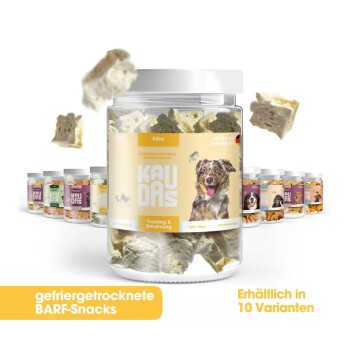 Transparenter Behälter mit KAUDAS gefriergetrockneten Hundesnacks, beschriftet mit "Training & Belohnung" und "100% Käse," mit anderen Varianten im Hintergrund.