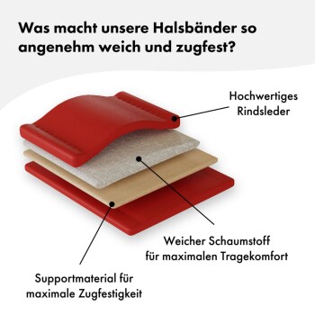 Diagramm eines roten Hundehalsbands, das Schichten zeigt: hochwertiges Rindsleder, weicher Schaum für Komfort und Stützmaterial für Haltbarkeit, mit deutschem Text.