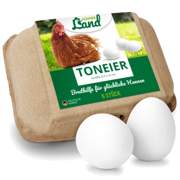 Papp-Eierkarton für 6 Eier mit Hühnerfoto und zwei weißen Eiern; Etikett lautet 'Hühner Land TONEIER 6 Stück'.