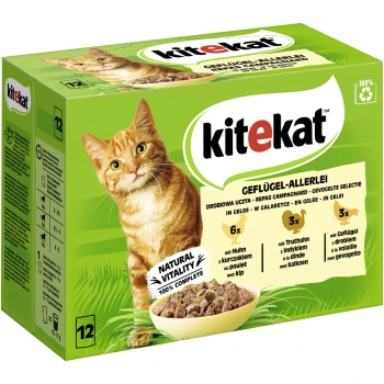 Katze-Futterbox mit einer verspielten orangefarbenen Tabby und der Marke "kitekat". Enthält 12 Portionen Geflügel in Gelee und betont "NATÜRLICHE VITALITÄT 100% VOLLSTÄNDIG."