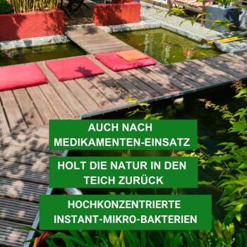 Ein ruhiger Gartenweiher mit Holzterrasse und roten Kissen, der konzentrierte Mikroben zur natürlichen Teichrenovierung fördert.