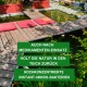 Ein ruhiger Gartenweiher mit Holzterrasse und roten Kissen, der konzentrierte Mikroben zur natürlichen Teichrenovierung fördert.
