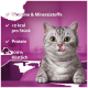 Eine verspielte graue getigerte Katze mit großen Augen und herausgestreckter Zunge auf einem lila Hintergrund, die Vitamine, niedrige Kalorien, Protein und Köstlichkeit zeigt.
