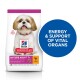 Dog food bag featuring a Shih Tzu, labeled "Hill's Science Plan Mature Adult 7+," highlighting "Energy & Support of Vital Organs."