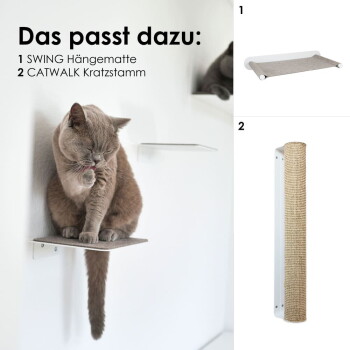 Eine Nahaufnahme einer grauen getigerten Katze, die auf einem kleinen, dunkelgrauen Regal sitzt, das an einer Wand befestigt ist, und ihr gemustertes Fell und ihre Pfoten zeigt.