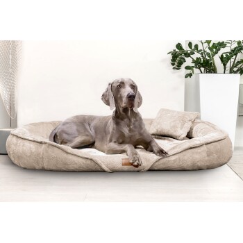 Ein grauer Weimaraner-Hund liegt auf einem plüschigen, beigen Haustierbett mit einem kleinen Kissen, vor einem minimalistischen Interieur mit einer Pflanze.