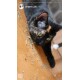 Katzenminze (Catnip) im 30g Beutel (getrocknet, geschnitten und gesiebt)