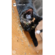 Eine Nahaufnahme einer Schildpattkatze, die auf einer Holzoberfläche liegt, die mit Katzenminze bestreut ist. Die Katze hat leuchtend grüne Augen und einen verspielten Ausdruck.